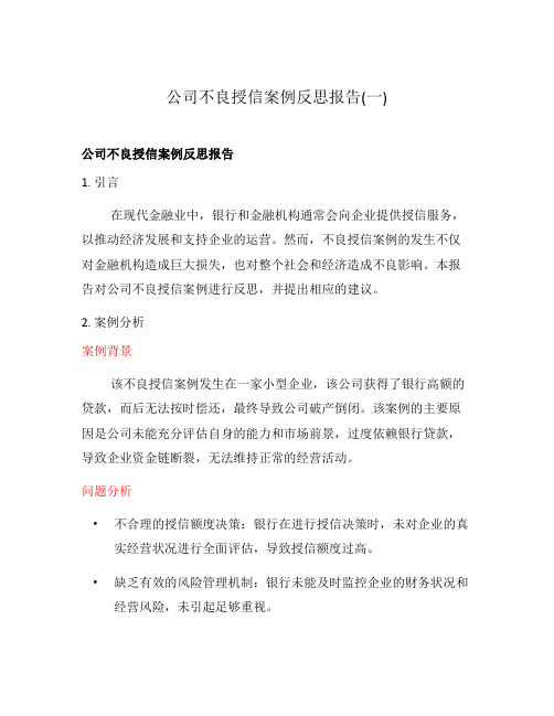 公司不良授信案例反思报告(一)