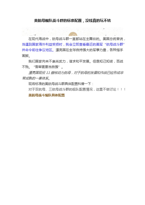 美航母舰队战斗群的标准配置，没钱真的玩不转