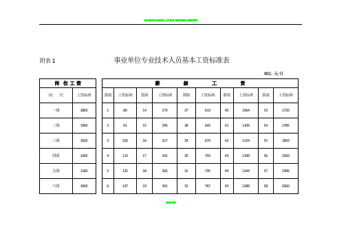 事业单位专业技术人员工资标准表