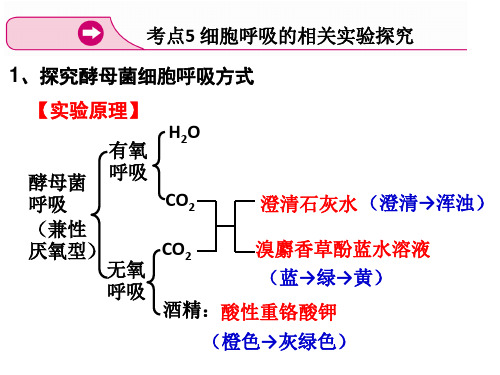 人教版生物必修1：探究酵母菌细胞呼吸的方式实验(共12张PPT)