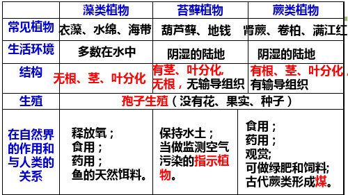 第二节种子植物(第一课时)课件教版生物七年级上册