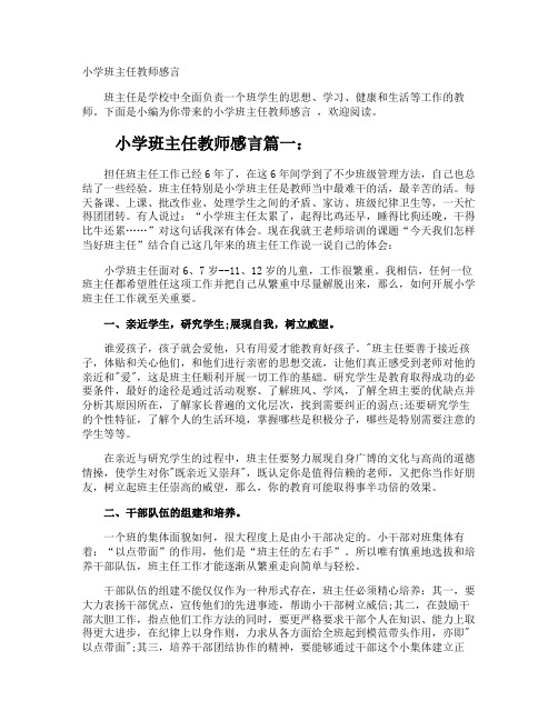 小学班主任教师感言