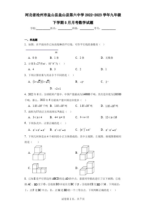 河北省沧州市盐山县盐山县第六中学2022-2023学年九年级下学期5月月考数学试题