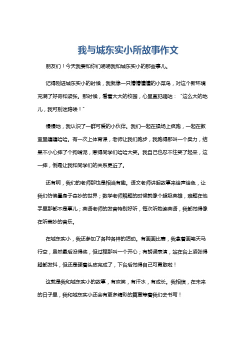 我与城东实小所故事作文