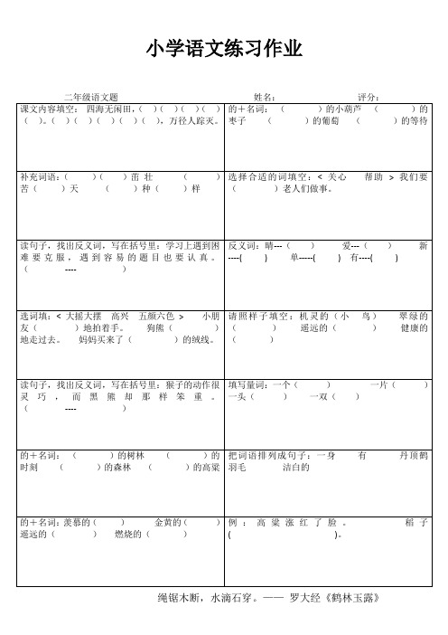 小学二年级语文课后强化训练I (41)