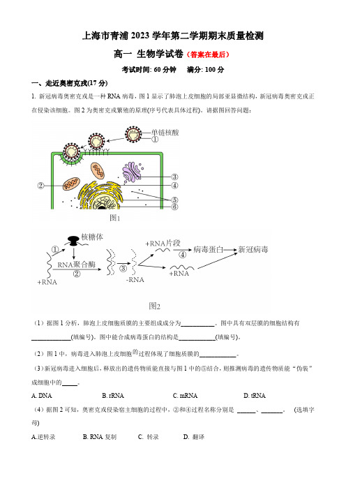 上海市青浦2023-2024学年高一下学期期末考试 生物含答案