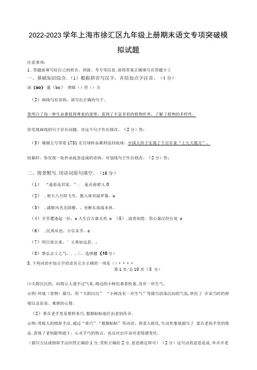 2022-2023学年上海市徐汇区九年级上册期末语文专项突破模拟试题(含解析)