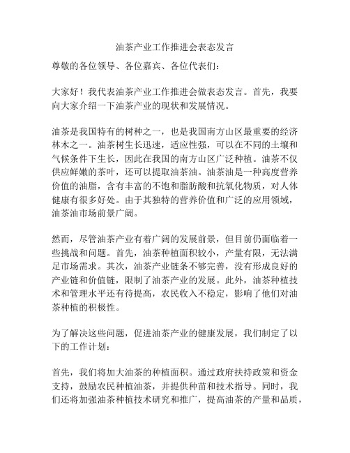 油茶产业工作推进会表态发言