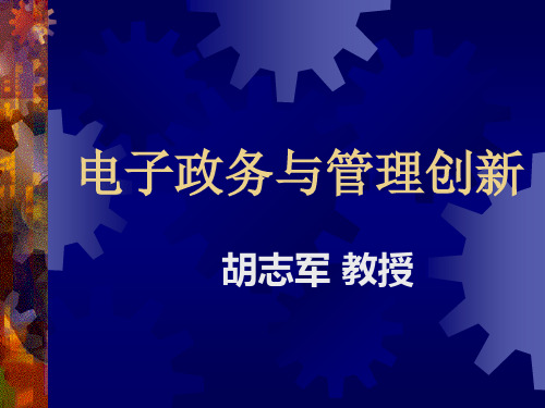 电子政务的理论与实践(二)