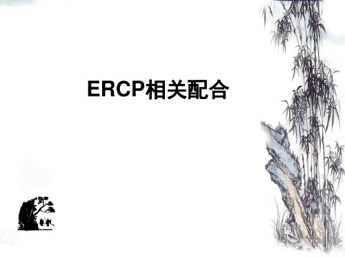 ERCP操作