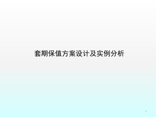 套期保值方案设计及实例分析ppt课件