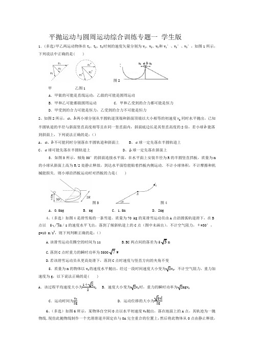 平抛运动与圆周运动综合训练专题一 学生版