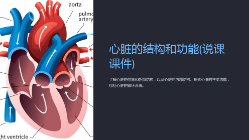 心脏的结构和功能(说课课件)