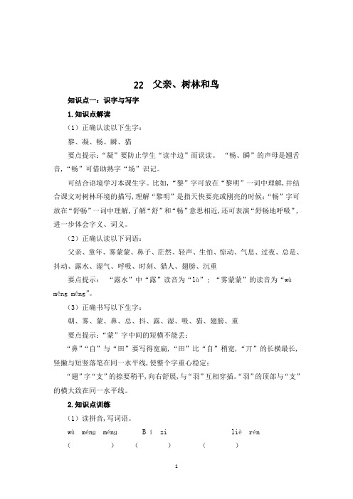 三年级上册语文23 父亲树林和鸟(带答案)