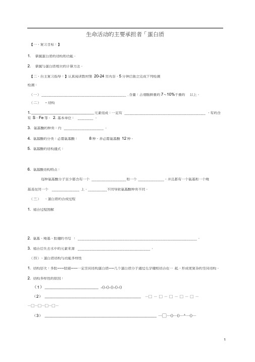 高三生物蛋白质复习学案