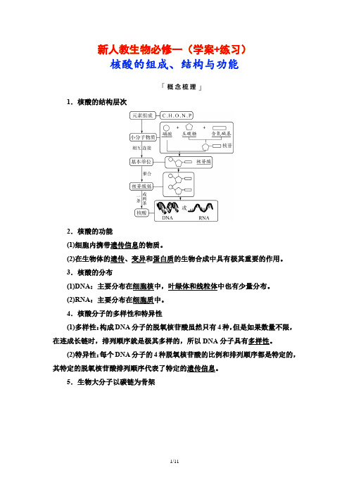 新人教生物必修一(学案+练习)核酸的组成