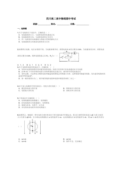 四川高二高中物理期中考试带答案解析
