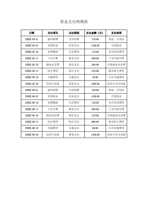 资金支出明细表