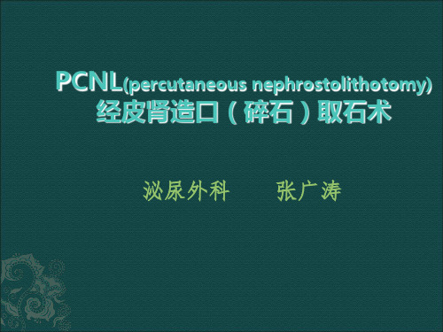 经皮肾造口(碎石)取石术(PCNL)