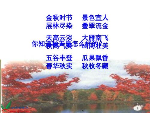 秋天的图画
