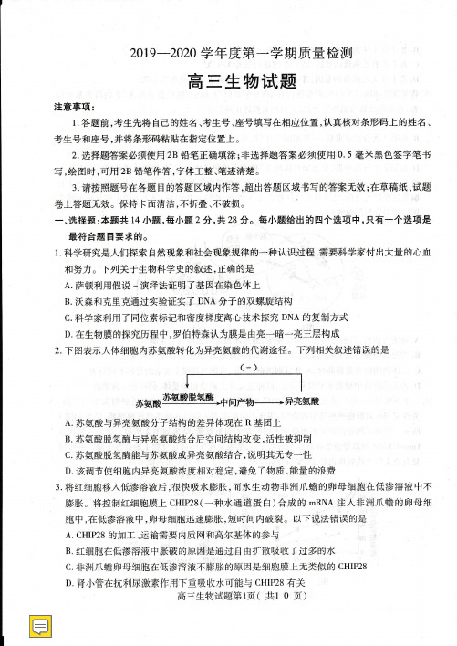 山东省济宁市2019-2020学年高三上学期期末考试生物试题及答案