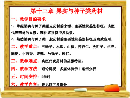 《天然药物学基础》第十三章种子与果实类药材 ppt课件