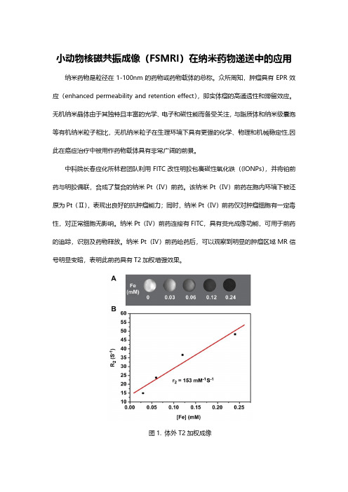 小动物核磁共振成像(FSMRI)在纳米药物递送中的应用