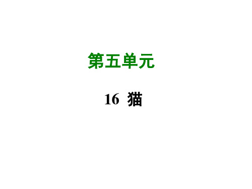 优秀课件人教版七年级语文(部编版)上册课件-17 猫 (共57张PPT)