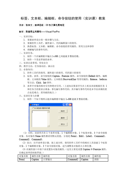 标签文本框编辑框命令按钮的使用(实训课)教案