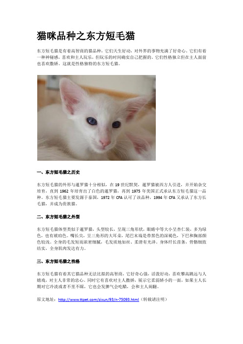 猫咪品种之东方短毛猫