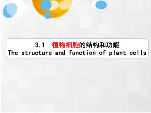 第一节-植物细胞的结构和功能