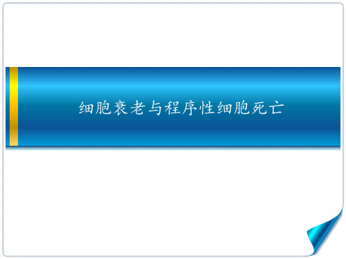 细胞衰亡与程序性死亡