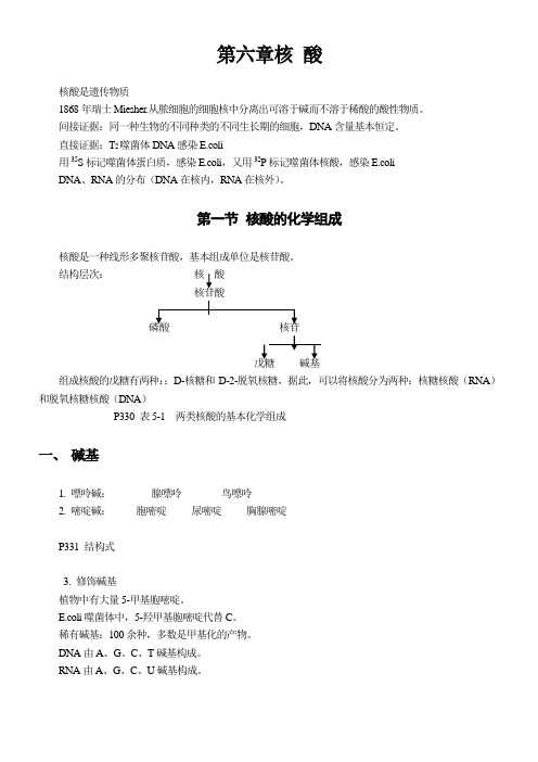 生化笔记：第六章 核酸----大二