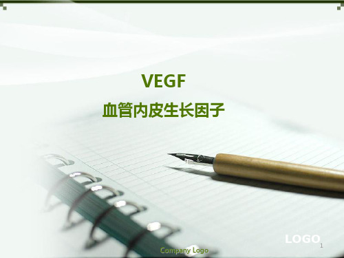 VEGF(血管内皮生长因子)PPT课件