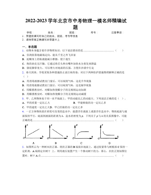 2022-2023学年北京市中考物理一模名师精编试题附解析