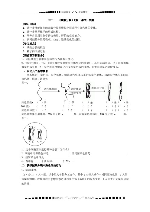 高一生物：第二章《第一节 减数分裂中的染色体行为》学案1(浙教版必修2)