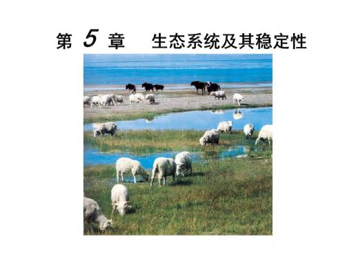 高中生物课件：5.4 生态系统的信息传递(人教版必修3)