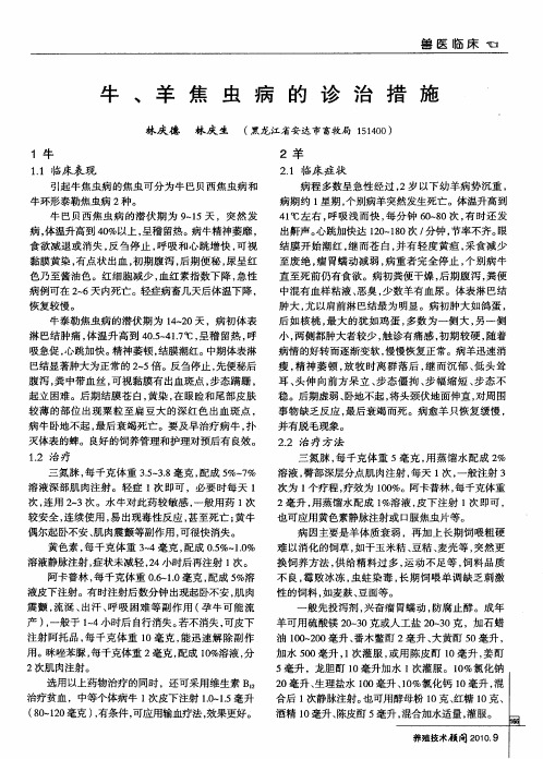 牛、羊焦虫病的诊治措施