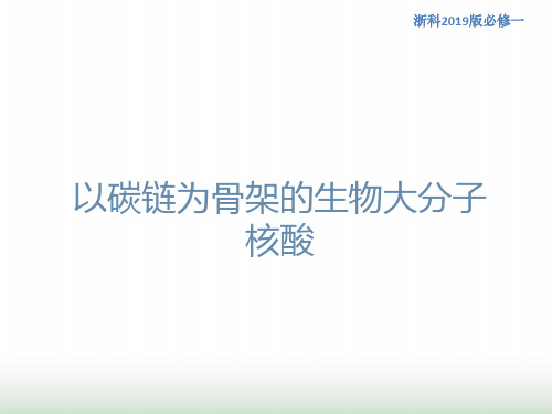 新教材高中生物1.2.3以碳链为骨架的生物大分子核酸课件1浙科版必修1