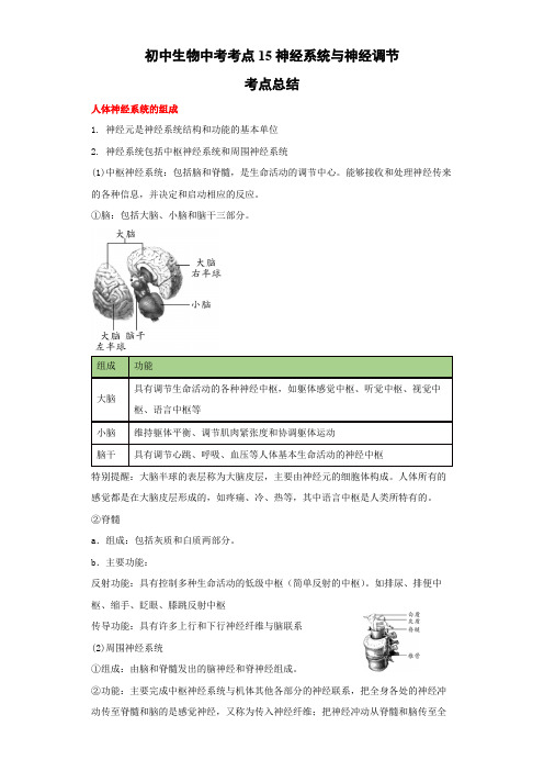 初中生物中考(北师大版)考点15神经系统与神经调节(解析版)