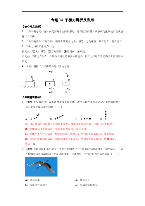 (中考物理必刷题)专题14 平衡力辨析及应用(解析版)