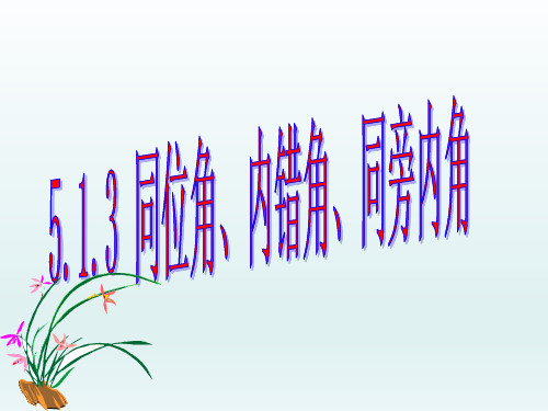 人教版七年级数学下册《同位角、内错角、同旁内角》PPT