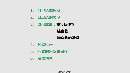 蛋白检测ELISAPPT课件