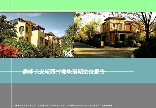 2010年鼎峰东莞长安咸西村地块前期定位报告 2010-127页