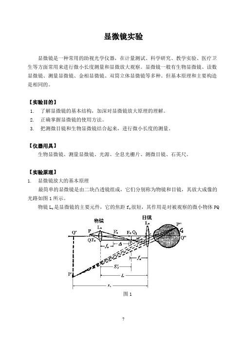 显微镜实验