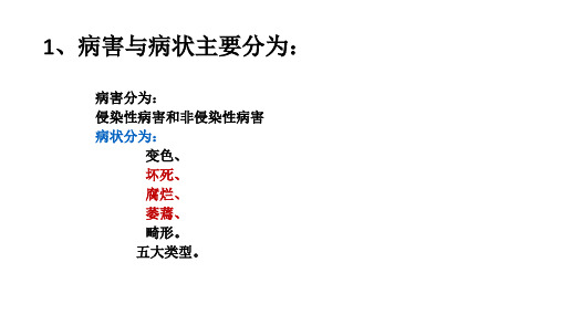 蔬菜根茎部常见侵染性病害防治