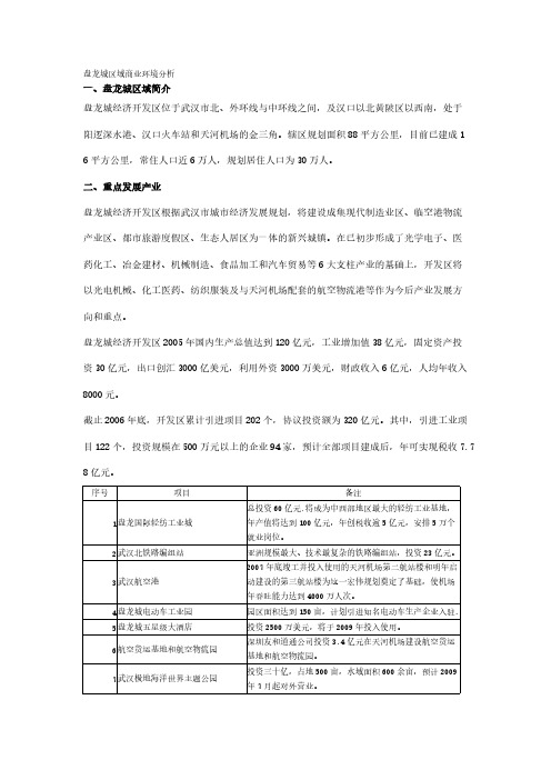 【免费下载】盘龙城区域商业环境分析