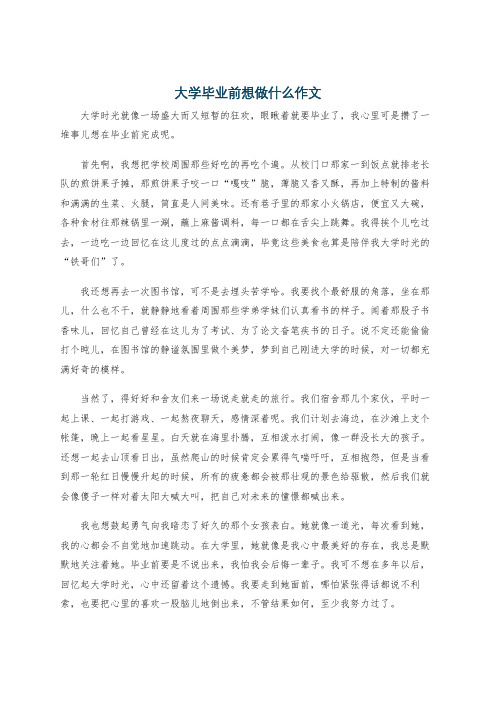 大学毕业前想做什么作文