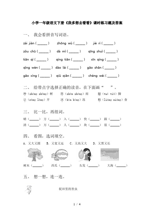 小学一年级语文下册《我多想去看看》课时练习题及答案