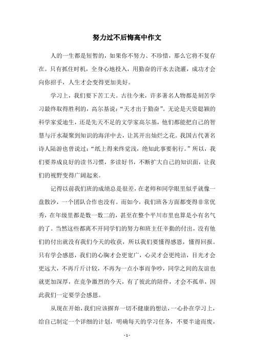 努力过不后悔高中作文